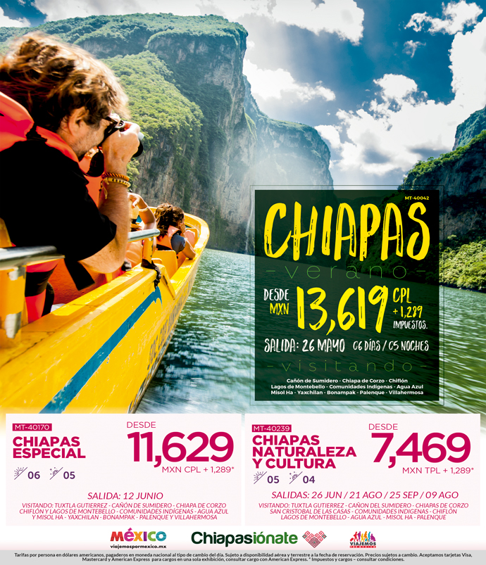 web_chiapas-ver